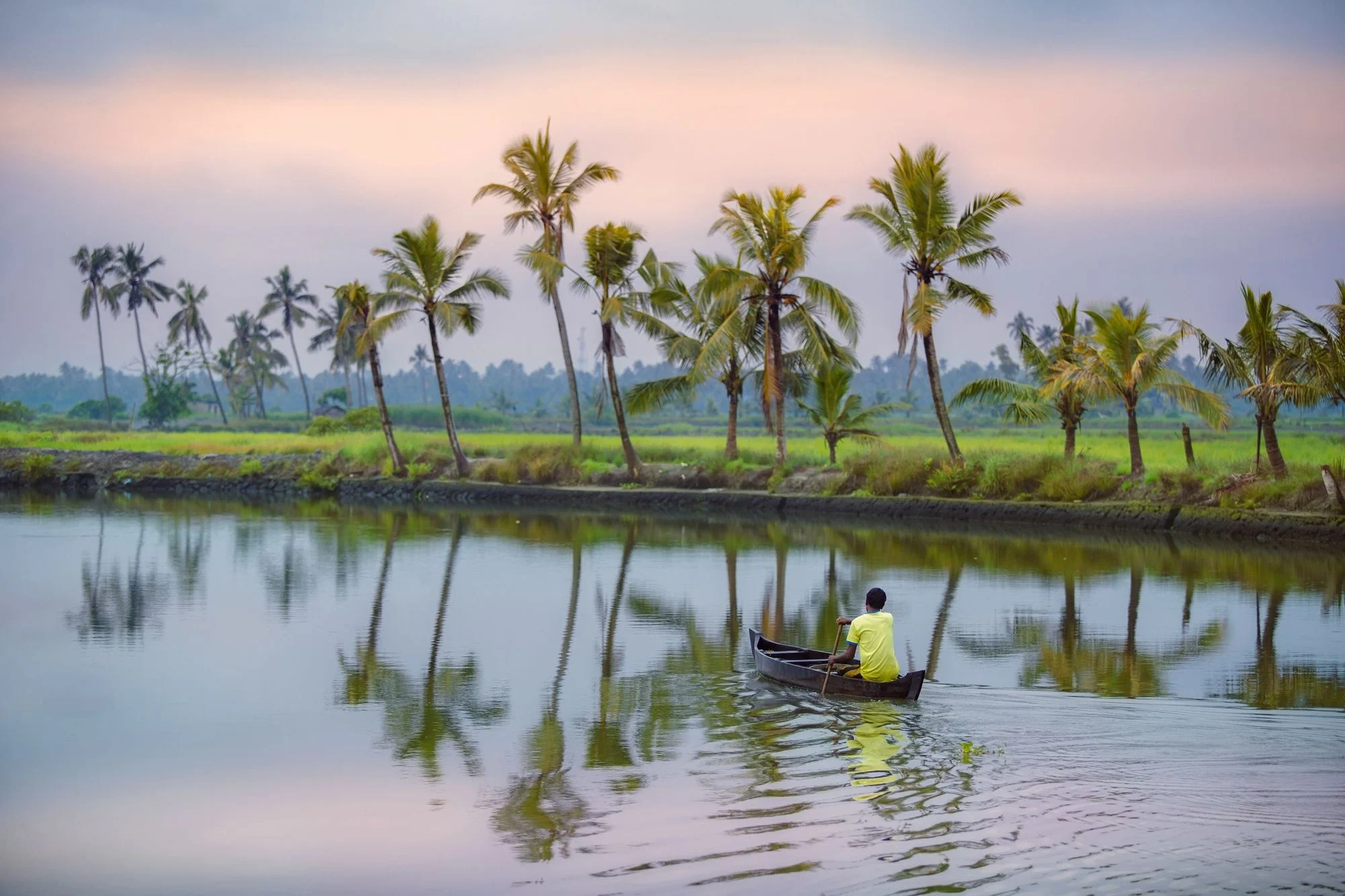 Eco-Friendly Travel in Kerala: How to Explore Sustainably